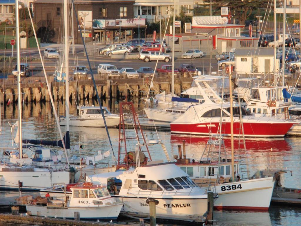Marina View Apartments Gisborne Eksteriør bilde