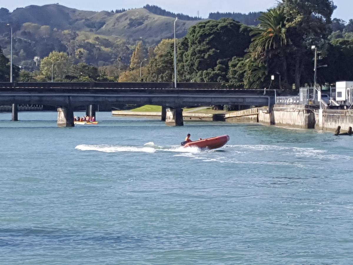 Marina View Apartments Gisborne Eksteriør bilde